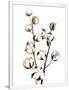 Gramercy White