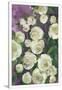 Gramercy White