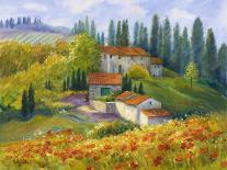 Tuscan Sunlight-Rosanne Kaloustian-Framed Stretched Canvas