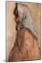 Rosario o gitana con mantón', 1909, Oil on canvas, 73 x 59,5 cm-ISIDRO NONELL-Mounted Poster