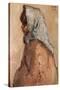 Rosario o gitana con mantón', 1909, Oil on canvas, 73 x 59,5 cm-ISIDRO NONELL-Stretched Canvas