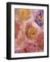 Rosas Compo 2-2-Moises Levy-Framed Giclee Print