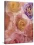 Rosas Compo 2-2-Moises Levy-Stretched Canvas