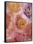 Rosas Compo 2-2-Moises Levy-Framed Stretched Canvas