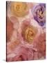 Rosas Compo 2-2-Moises Levy-Stretched Canvas