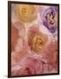 Rosas Compo 2-2-Moises Levy-Framed Giclee Print