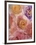 Rosas Compo 2-2-Moises Levy-Framed Giclee Print