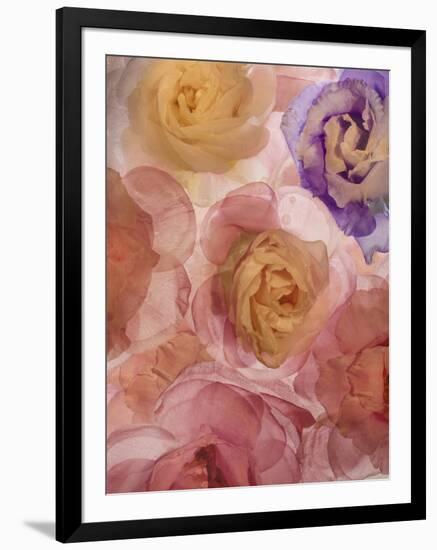 Rosas Compo 2-2-Moises Levy-Framed Giclee Print