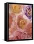 Rosas Compo 2-2-Moises Levy-Framed Stretched Canvas