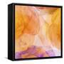 Rosas Compo 5-Moises Levy-Framed Stretched Canvas