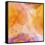 Rosas Compo 5-Moises Levy-Framed Stretched Canvas