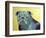 Roscoe-Lauren Moss-Framed Giclee Print