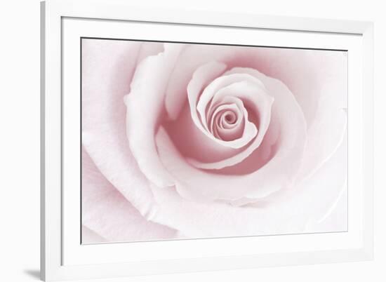 Rose Abstract-Anna Miller-Framed Photographic Print