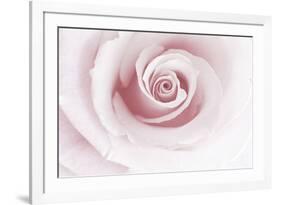 Rose Abstract-Anna Miller-Framed Photographic Print