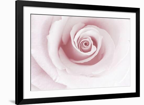 Rose Abstract-Anna Miller-Framed Photographic Print