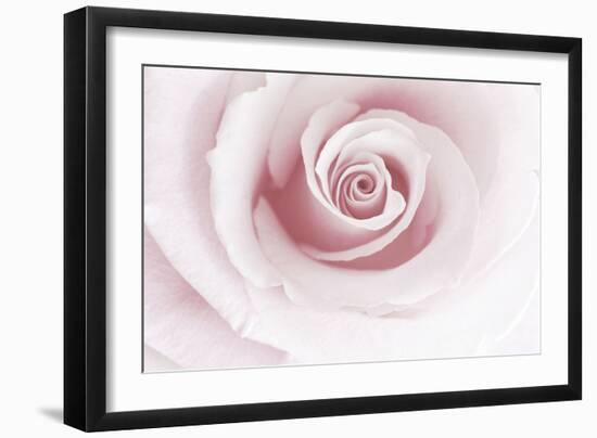 Rose Abstract-Anna Miller-Framed Photographic Print