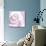 Rose Abstract-Anna Miller-Photographic Print displayed on a wall