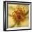 Rose Abstract-Anna Miller-Framed Photographic Print