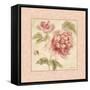 Rose Acanthus I-Cheri Blum-Framed Stretched Canvas