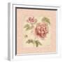 Rose Acanthus I-Cheri Blum-Framed Art Print