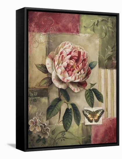 Rose and Butterfly-Lisa Audit-Framed Stretched Canvas