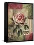 Rose and Butterfly-Lisa Audit-Framed Stretched Canvas