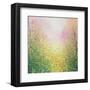 Rose and Lime-Sandy Dooley-Framed Art Print