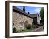 Rose and Plague Cottages, Eyam, Derbyshire, England, United Kingdom-Pearl Bucknall-Framed Photographic Print