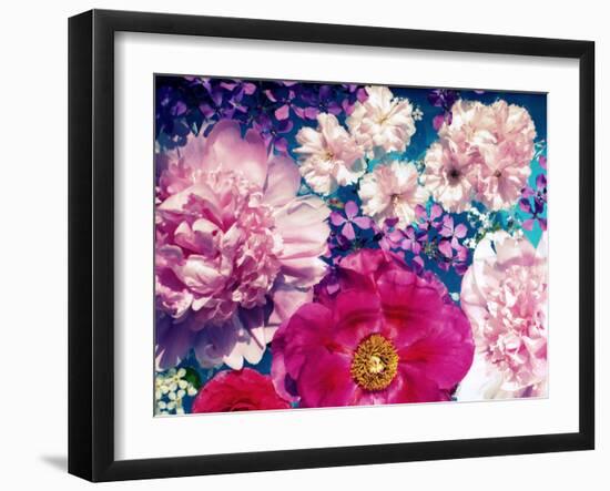 Rose and Red Blossoms in the Water-Alaya Gadeh-Framed Photographic Print