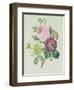 Rose, Anemone and Clematide-Pierre-Joseph Redouté-Framed Giclee Print