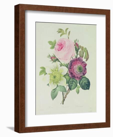 Rose, Anemone and Clematide-Pierre-Joseph Redouté-Framed Giclee Print