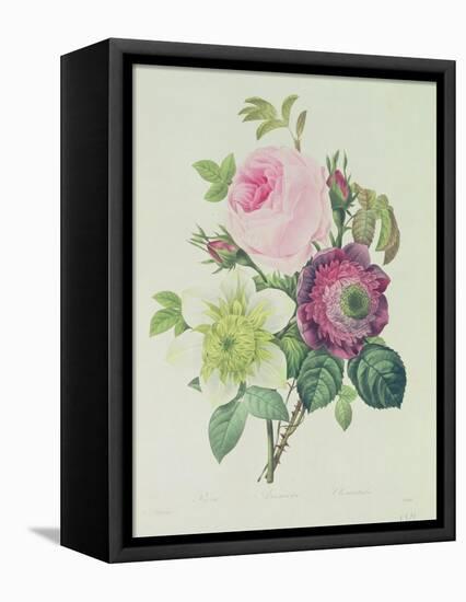 Rose, Anemone and Clematide-Pierre-Joseph Redouté-Framed Stretched Canvas