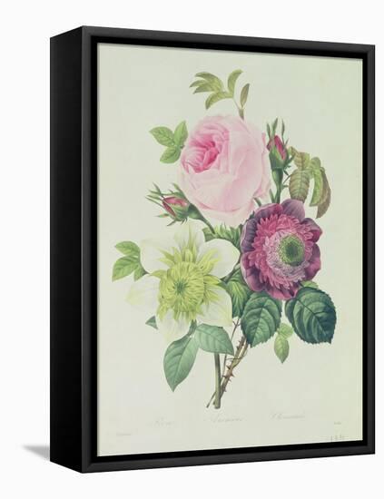 Rose, Anemone and Clematide-Pierre-Joseph Redouté-Framed Stretched Canvas