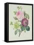 Rose, Anemone and Clematide-Pierre-Joseph Redouté-Framed Stretched Canvas