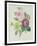 Rose, Anemone and Clematide-Pierre-Joseph Redouté-Framed Giclee Print