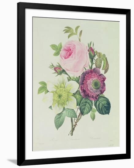 Rose, Anemone and Clematide-Pierre-Joseph Redouté-Framed Giclee Print