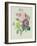 Rose, Anemone and Clematide-Pierre-Joseph Redouté-Framed Giclee Print