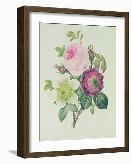 Rose, Anemone and Clematide-Pierre-Joseph Redouté-Framed Giclee Print