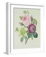 Rose, Anemone and Clematide-Pierre-Joseph Redouté-Framed Giclee Print