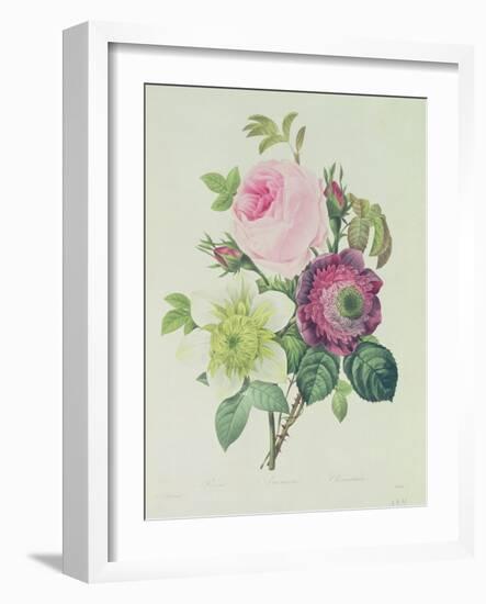 Rose, Anemone and Clematide-Pierre-Joseph Redouté-Framed Giclee Print