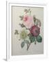 Rose, Anemone and Clematis-Pierre-Joseph Redoute-Framed Art Print