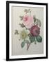 Rose, Anemone and Clematis-Pierre-Joseph Redoute-Framed Art Print