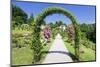 Rose Arches, Rose Garden Beutig, Baden-Baden, Black Forest, Baden Wurttemberg, Germany, Europe-Markus-Mounted Premium Photographic Print