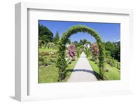 Rose Arches, Rose Garden Beutig, Baden-Baden, Black Forest, Baden Wurttemberg, Germany, Europe-Markus-Framed Photographic Print