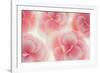 Rose Begonia Flowers-Cora Niele-Framed Photographic Print