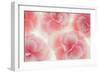 Rose Begonia Flowers-Cora Niele-Framed Photographic Print