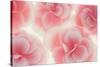 Rose Begonia Flowers-Cora Niele-Stretched Canvas