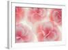 Rose Begonia Flowers-Cora Niele-Framed Photographic Print