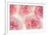 Rose Begonia Flowers-Cora Niele-Framed Photographic Print