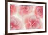 Rose Begonia Flowers-Cora Niele-Framed Photographic Print